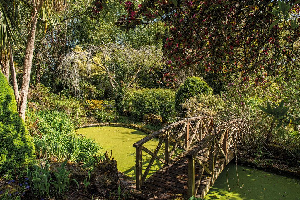 Houses for sale with wildlife ponds: Barley Hill Farm, Combe St. Nicholas