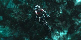 Ant-Man in the Quantum Realm