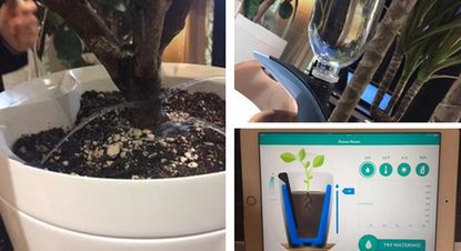 This 'smart pot' will water your plants while you're away