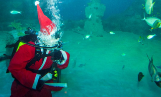 Santa went diving with sharks and other fish.