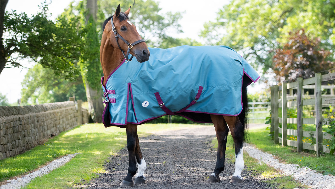 Derby House Pro medium/lite standard turnout&amp;nbsp;