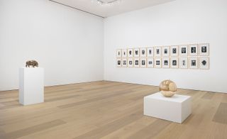 Art Gallery featuring white wall, white ceiling and brown laminate flooring. On the right are 24 square framed fall art. In the center of the room are 2 white box displays with a gold reflective beach ball and a white boar