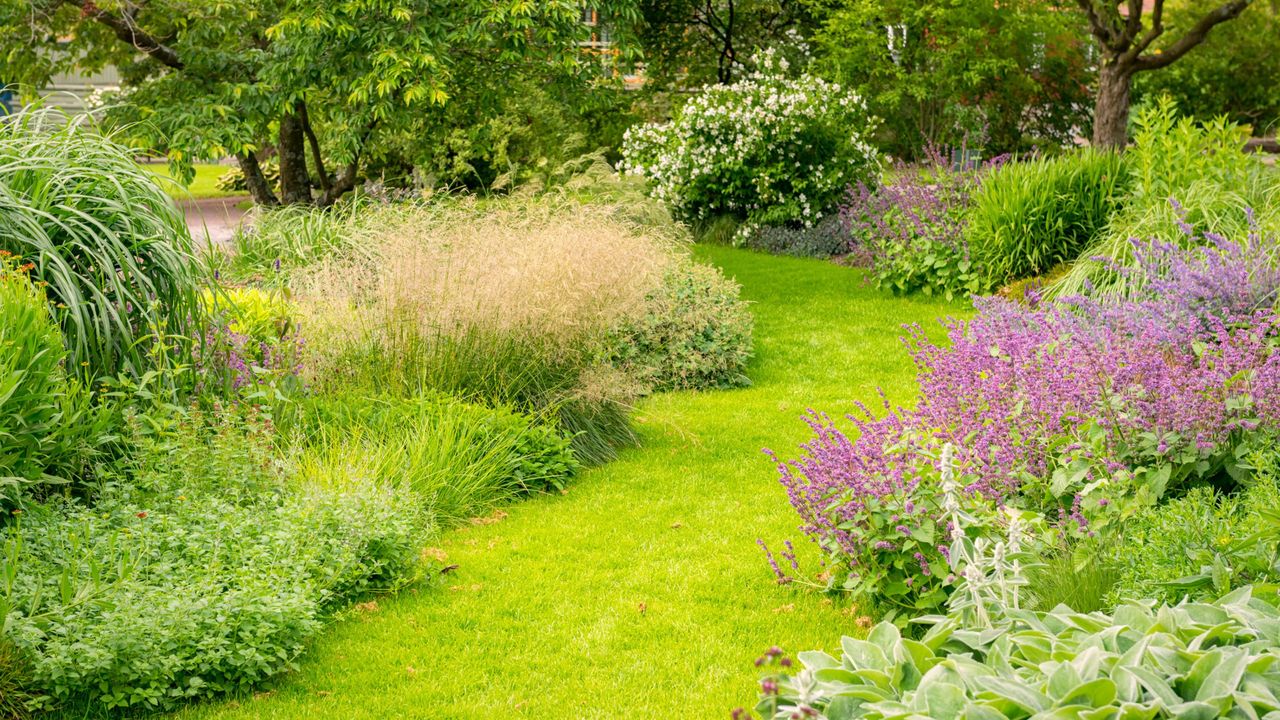 A bright green lawn with ornamental grasses in green, yellow, and purple colors on the border of it