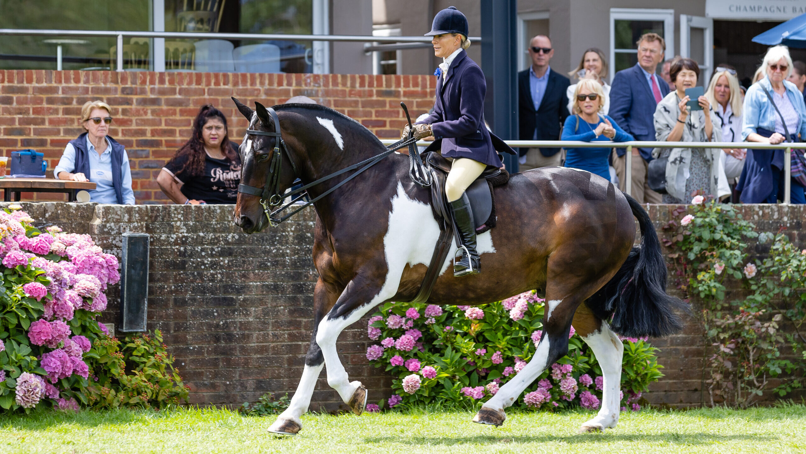Coloured cob Mr Vincent and Danielle Heath head home with the 2025 Royal International cob championship; in 2026 the cobs are assessed by Leon King