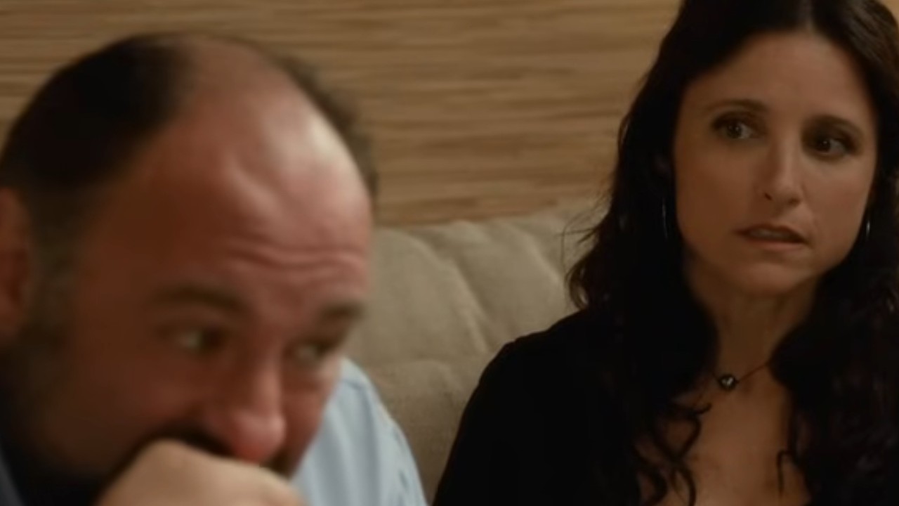 Julia Louis-Dreyfus keeping a close eye on James Gandolfini in Enough Said