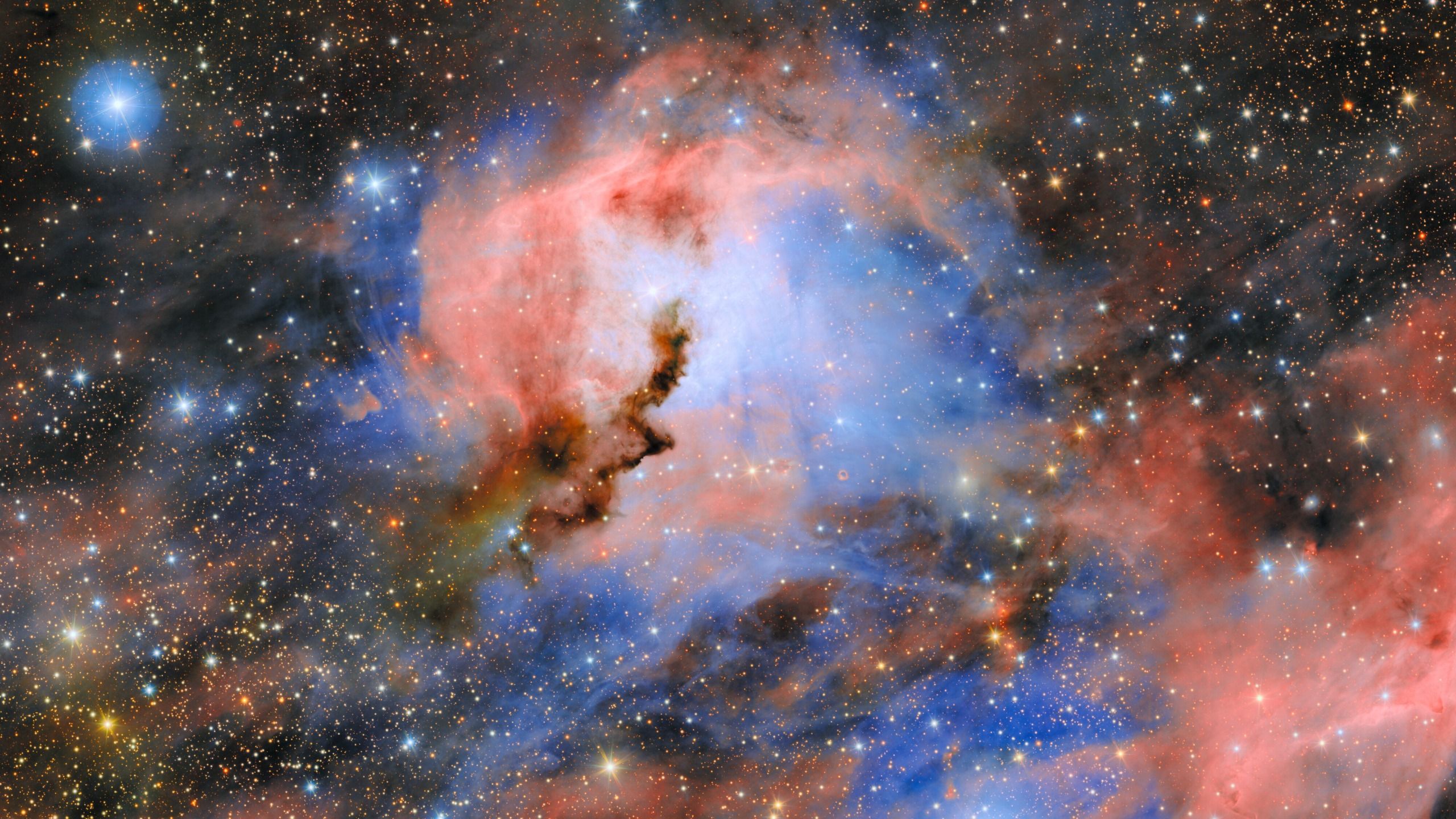 Cosmic 'seagull' locks eyes with the Vera C. Rubin Observatory in long-awaited test image