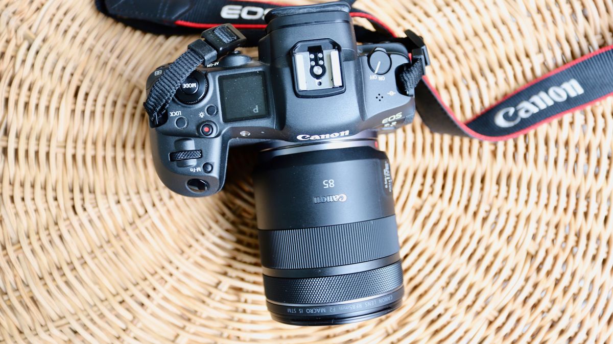 Canon RF 85mm f/2 Macro IS STM