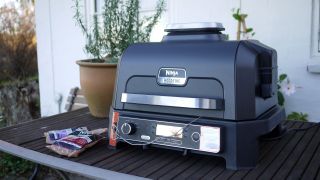 Ninja Woodfire Elektric
