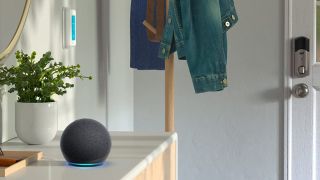 Echo Dot 4th Gen Lifestyle