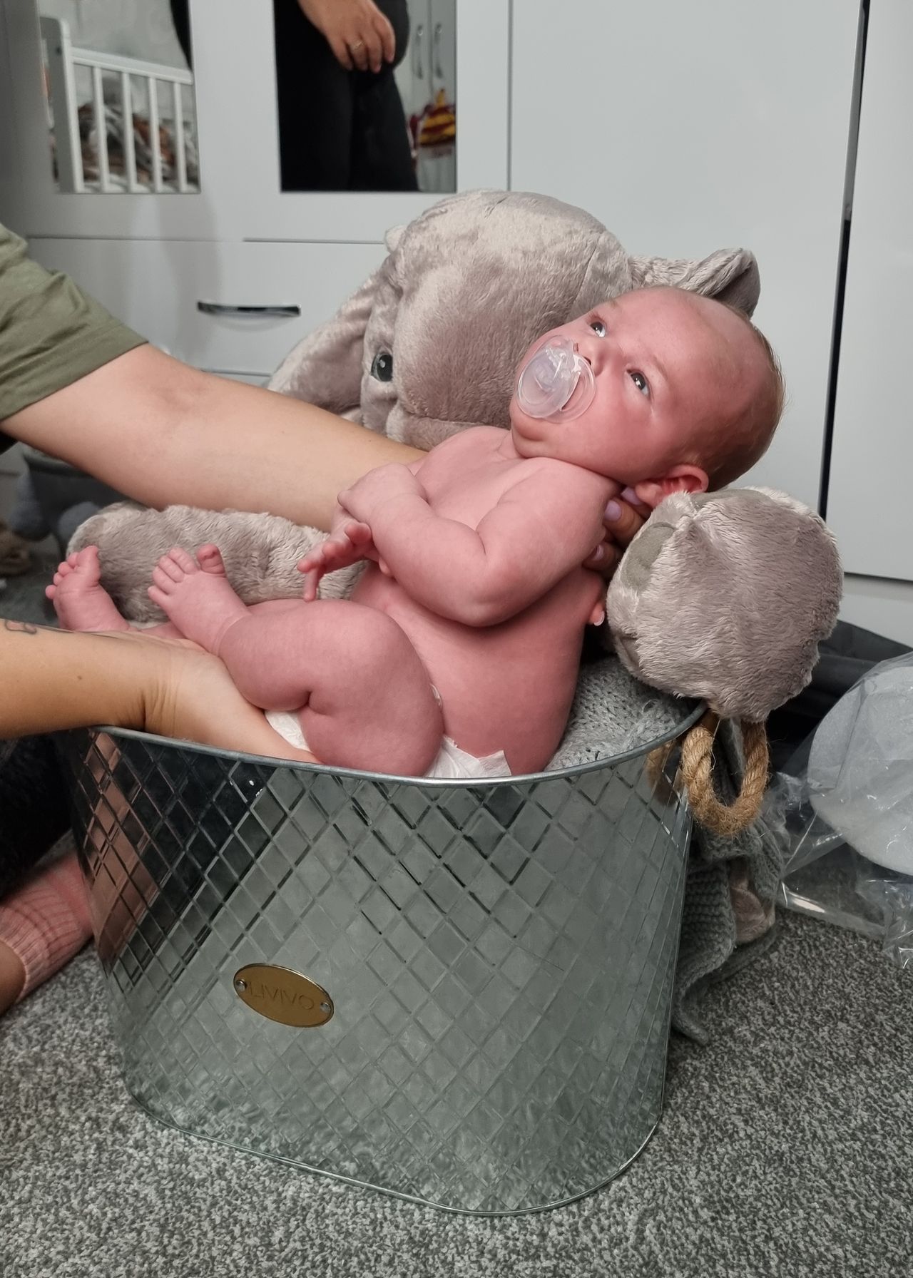 My first newborn shoot