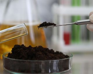 soil best tested in laboratory
