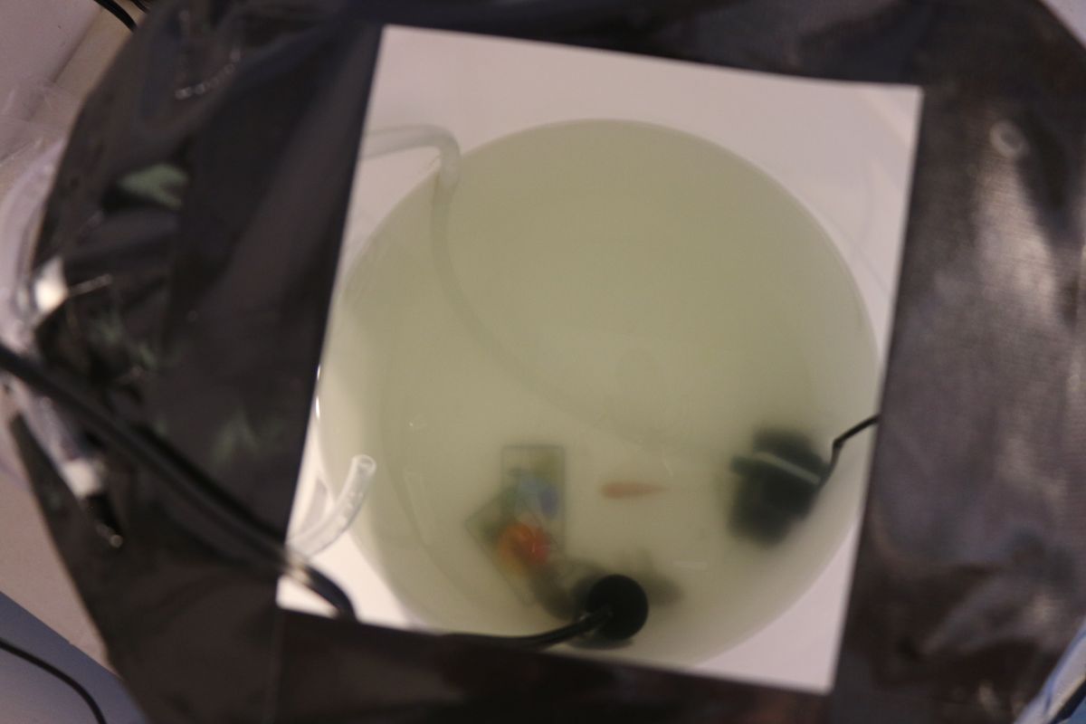 Chelsea Gohd works in the HI-SEAS habitat on the Sensoria 2 Mars simulation mission in Hawaii.