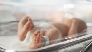 closeup of a newborn baby's feet as it's lying in bassinet in a maternity hospital.