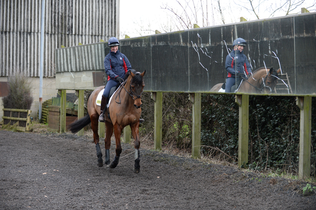 Nicola Wilson Yard Visit 07 01 2015