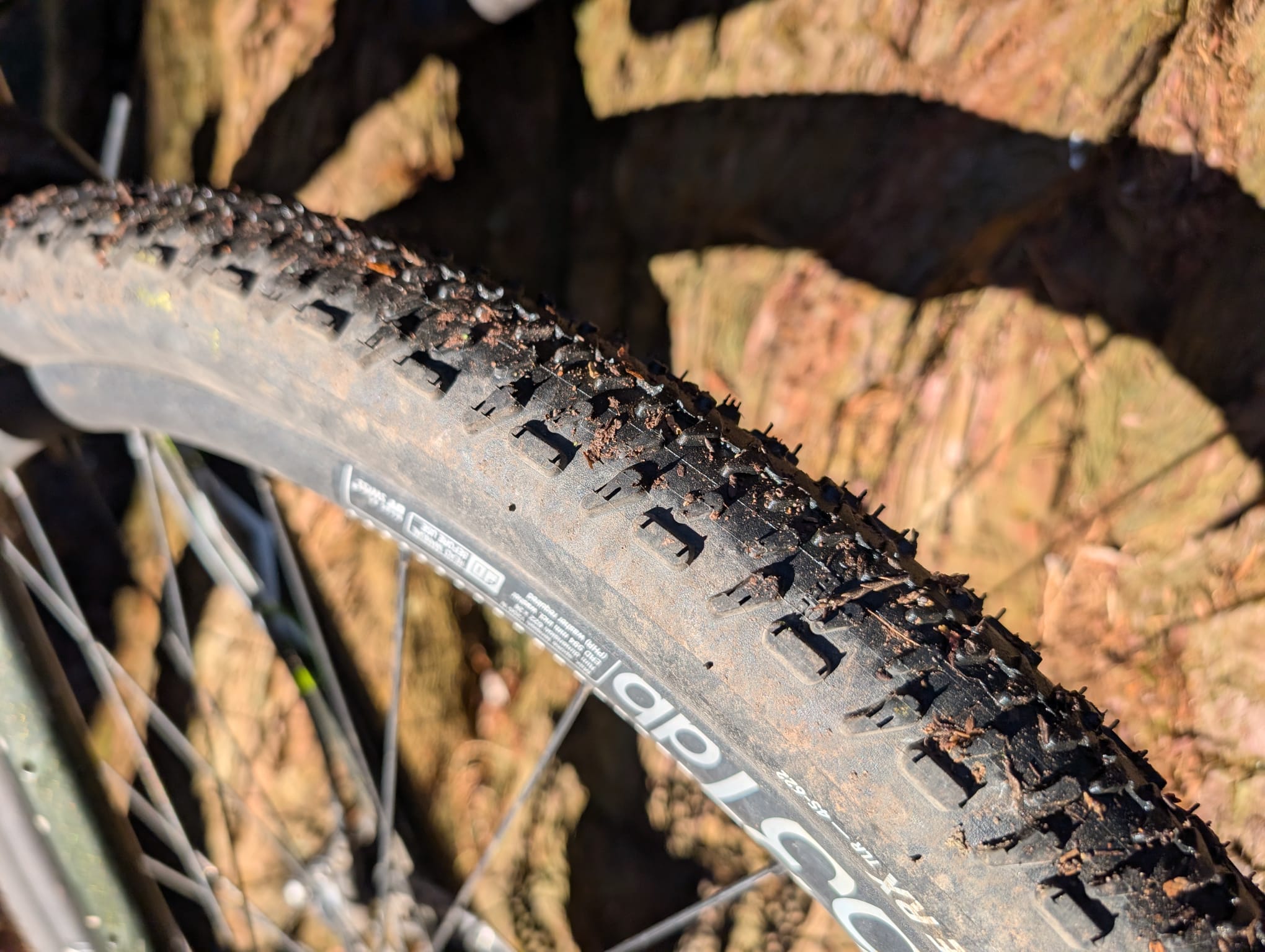 Schwalbe G-One RX