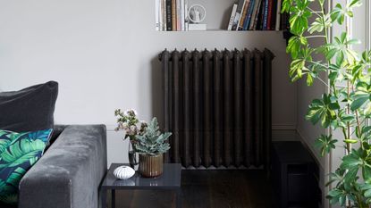 Shelving built into a corner alcove below elaborate coving with a dark metal radiator and dark wooden flooring
