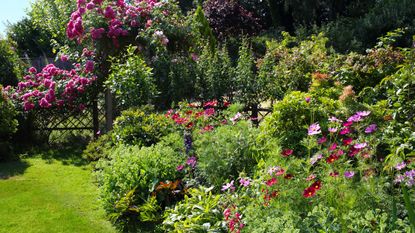 A garden in flower in summer