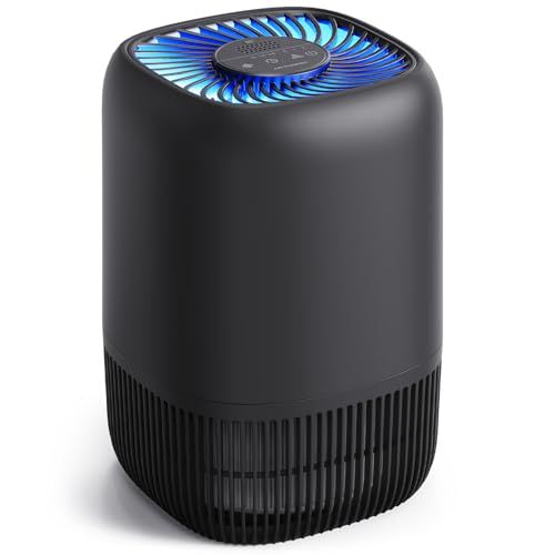 Home Office Air Purifier With H13 Quiet Hepa Filter 