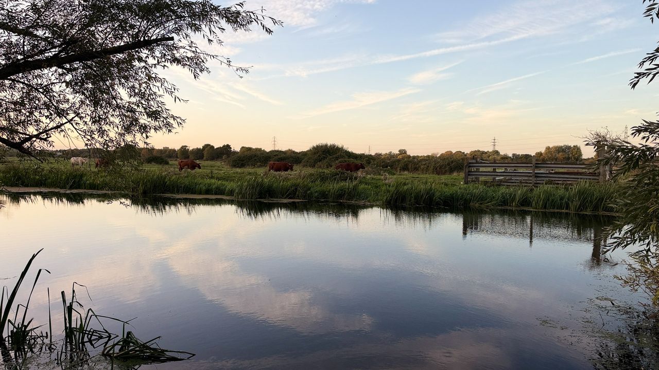 iPhone 18 Pro test image