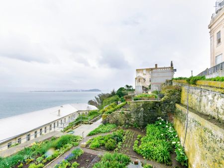 A Seaside Vegetable Garden Full Of Greens