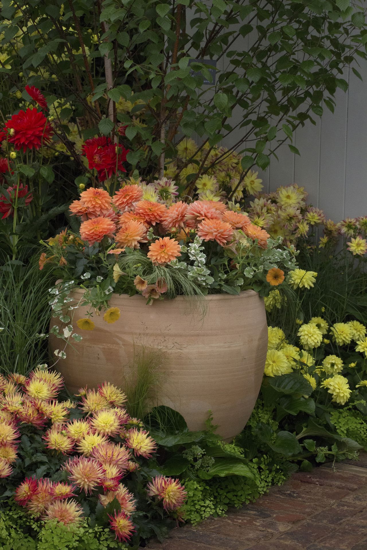 Monty Don’s tips on planting summer bulbs Homes & Gardens