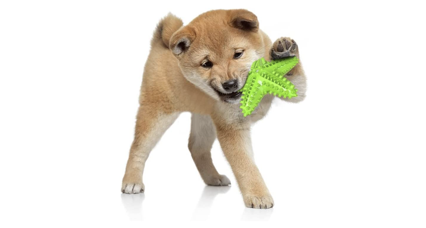 Teething toys for puppies: starfish
