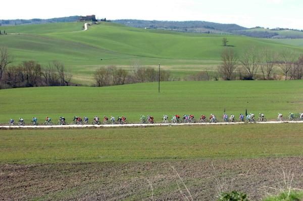 Spring is just starting to arrive in the Tuscan fields