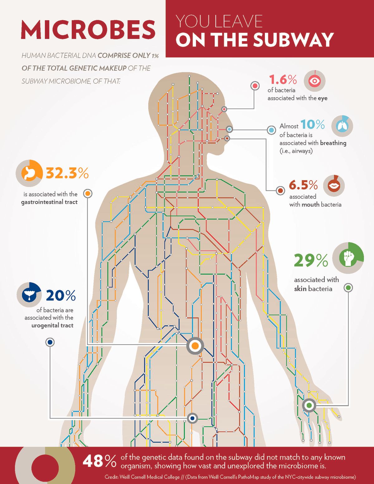 Infographic showing body-linked bacteria