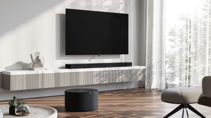 Loewe bild i TV in living room