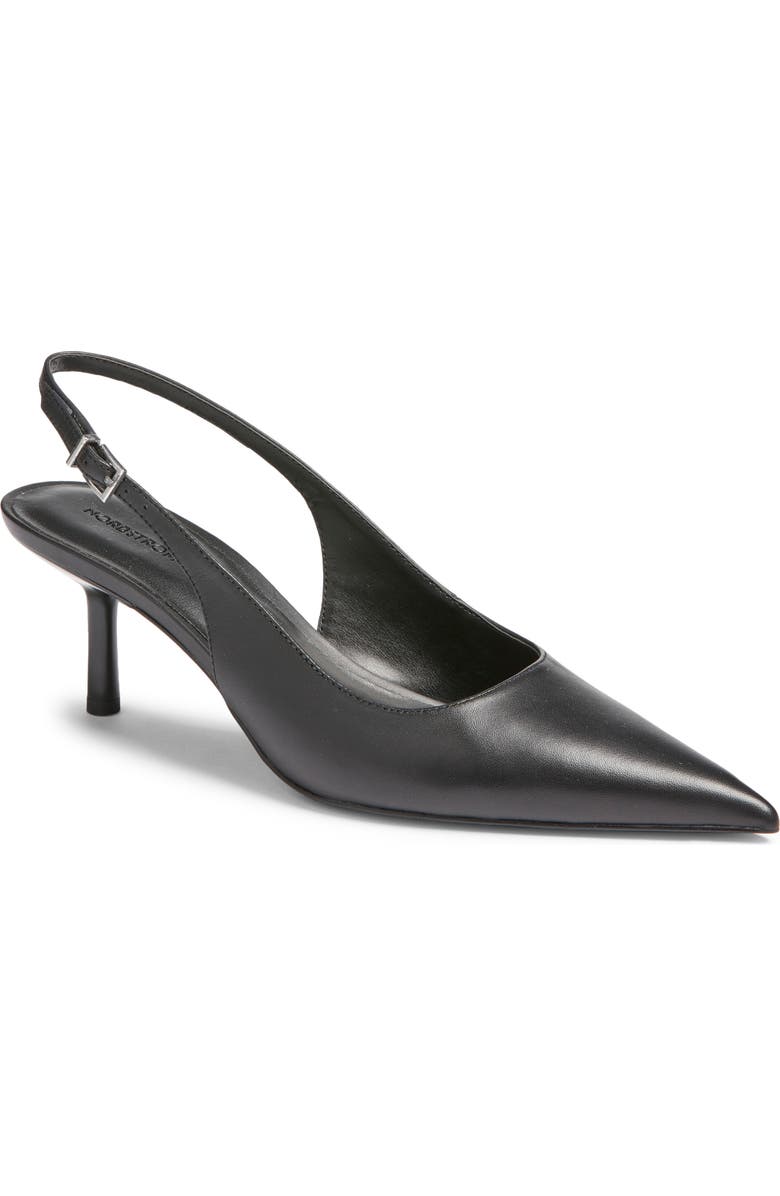 Liza Slingback Pointed Toe Pump
