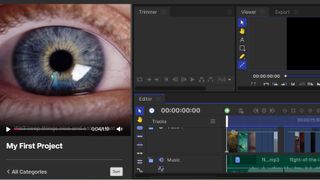 HitFilm interface showing video of big eye