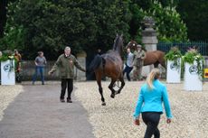 Badminton trot-up 2019
