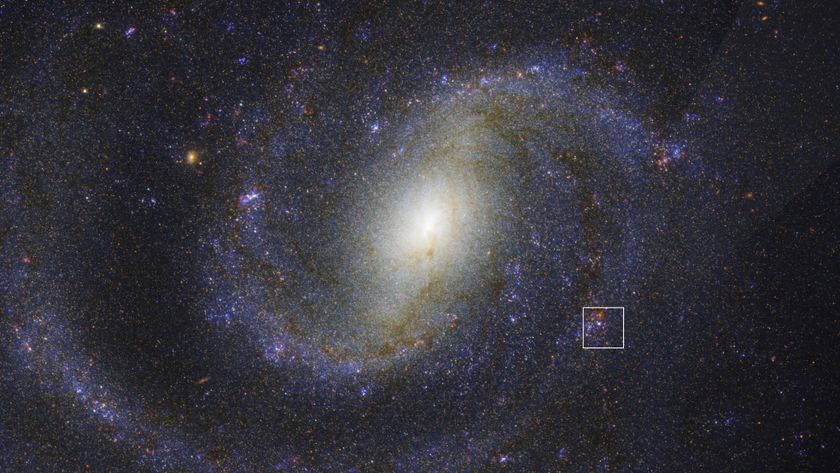 An image of spiral galaxy NGC 1637 with the massive red supergiant marked in a box.