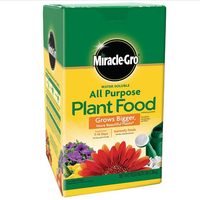 Miracle-Gro All Purpose Plant Food, 3lbs: $11.52 @ Amazon