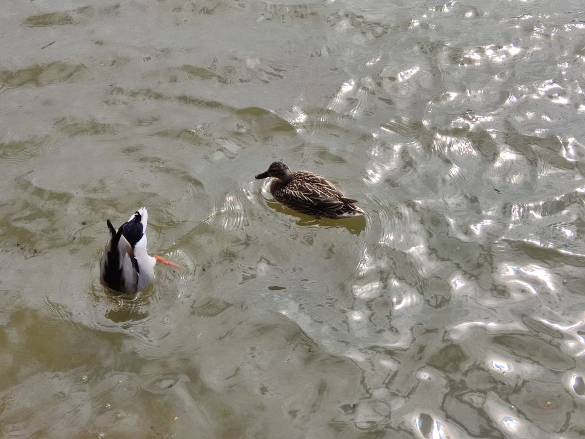 Poco X3 Pro camera sample