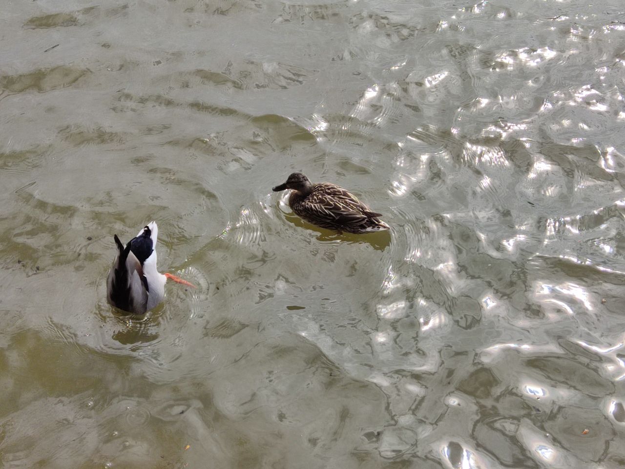 Poco X3 Pro camera sample
