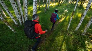 Osprey Rook and Renn backpacking rucksacks: two hikers travel through a wooded area while wearing Osprey backpacks