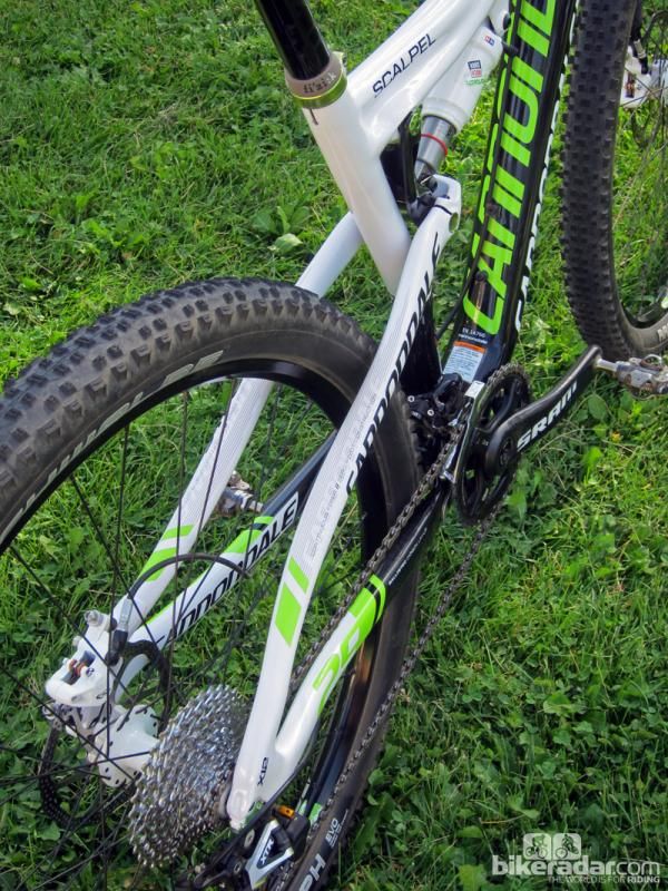 Seat stays are flattened for tuned vertical flex but they're very wide to combat side-to-side wag.