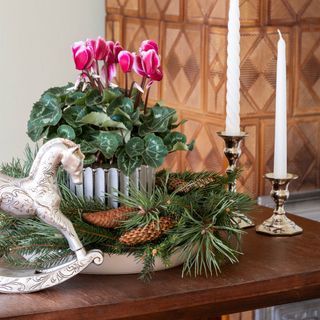 Pink and white flowering cyclamen houseplant in festive arrangement with long pine cones and leaves, candlesticks and white rocking horse ornament