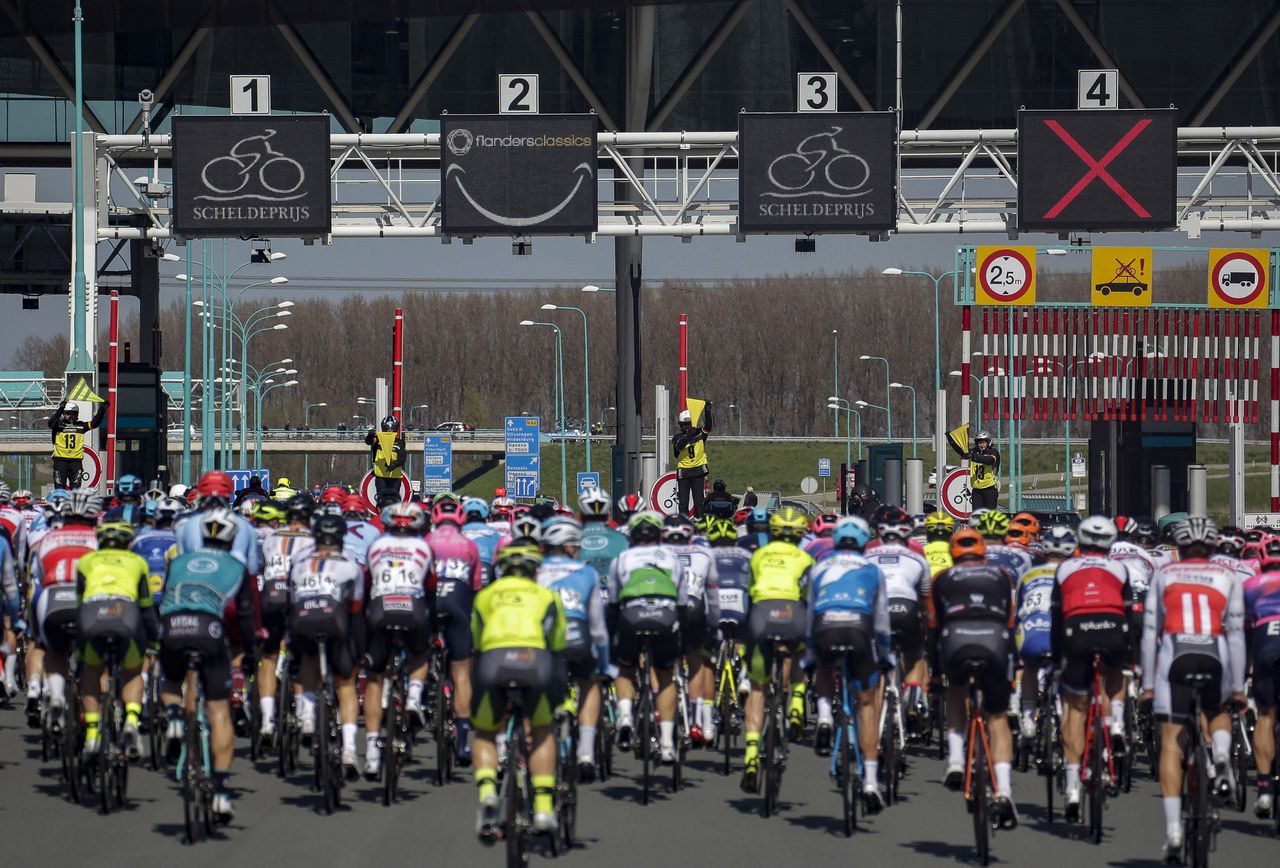 The 2019 Scheldeprijs