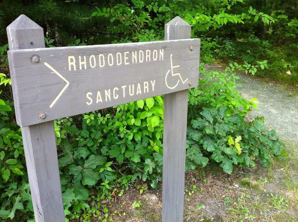 Disability Accessible Garden Sign