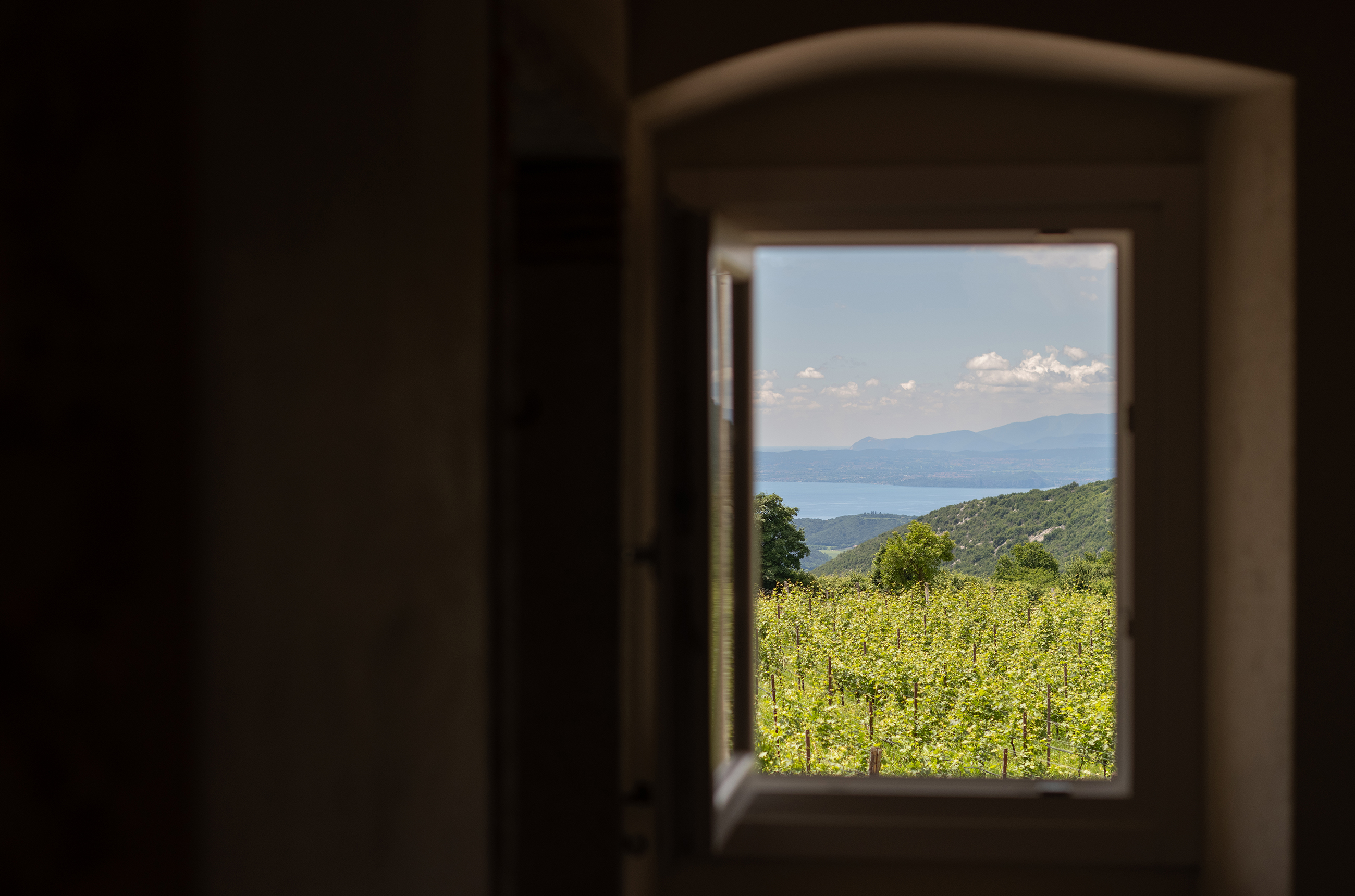 View out of a small window of a blue lake with green vines in the foreground
