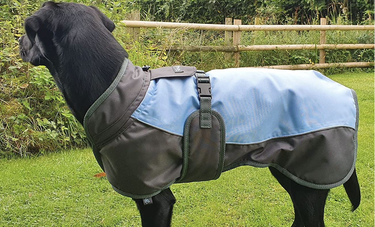 Henry Wag waterproof dog coat with harness hole