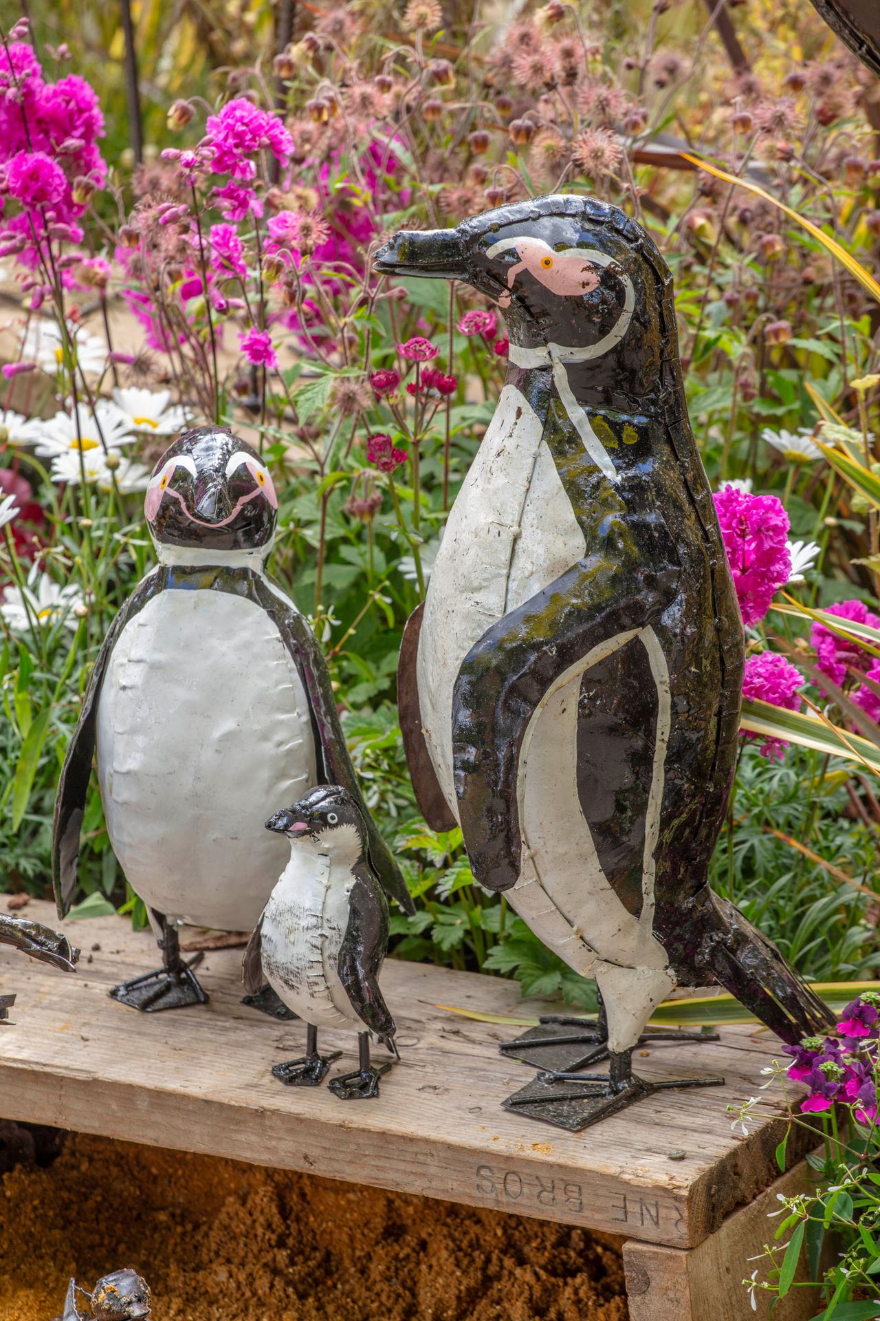 Chi Africa Animals at RHS Chelsea Flower Show 2026