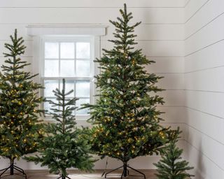 artificial christmas trees of different heights, lit up in a white room