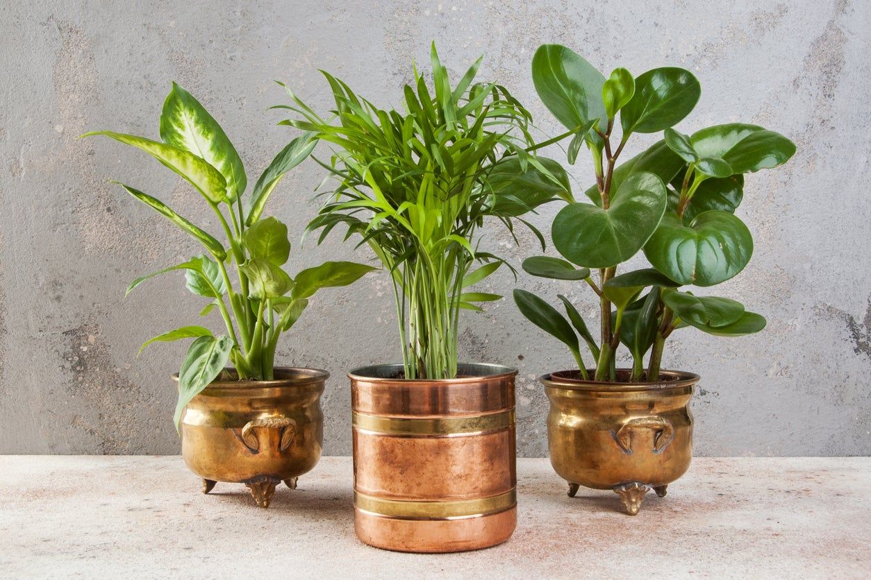 copper flower pots