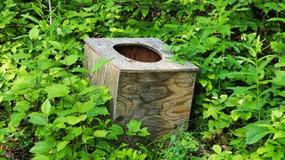 A toilet seat in the middle of the forest