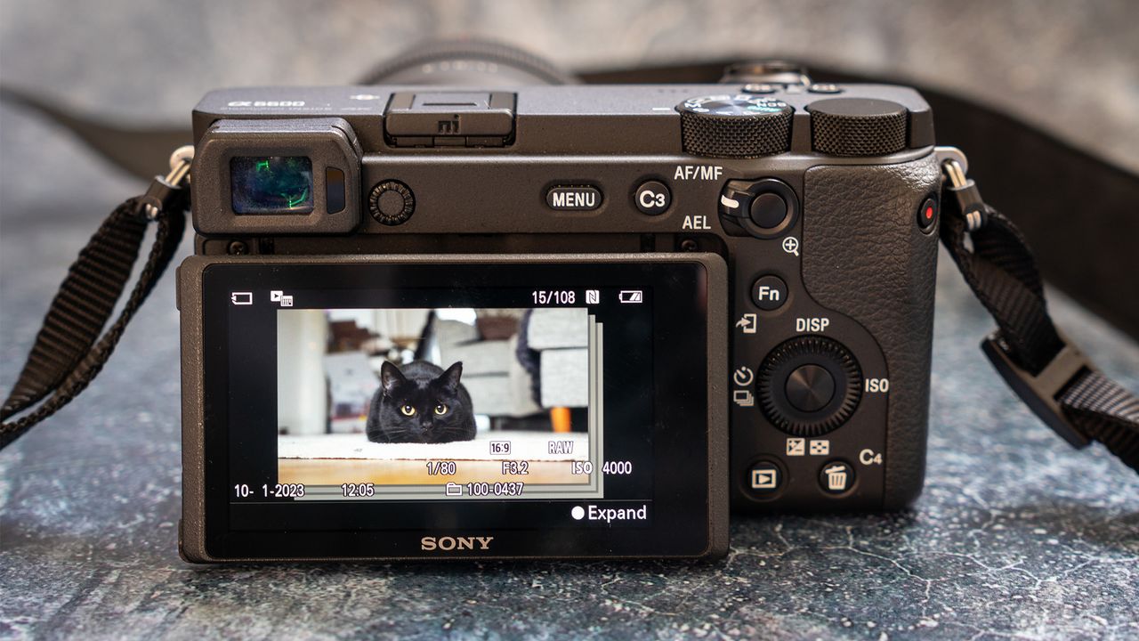 Sony a6600