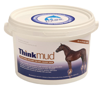 Think-Mud.JPG