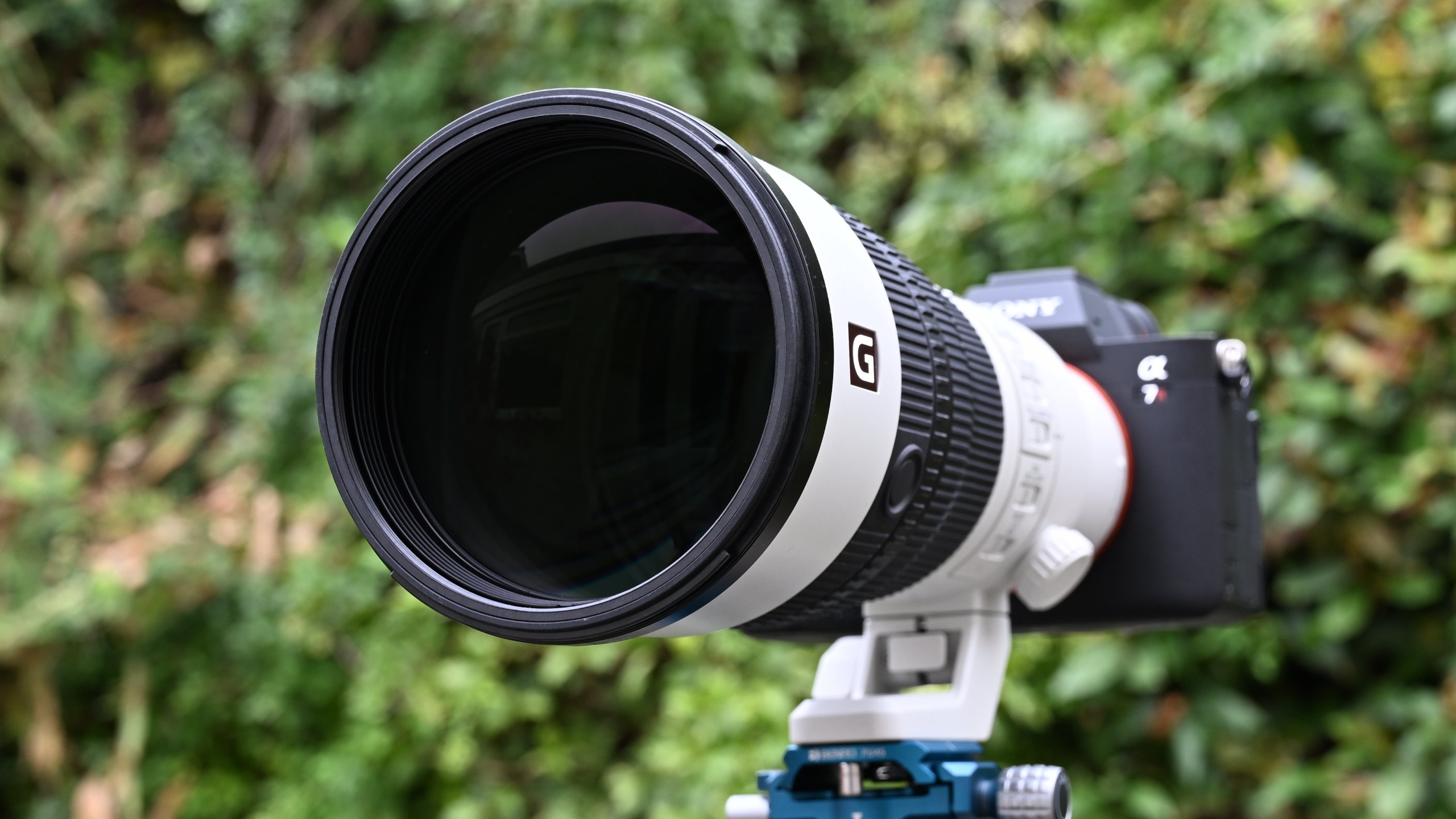 Sony FE 600mm f/6.3 GM OSS product image